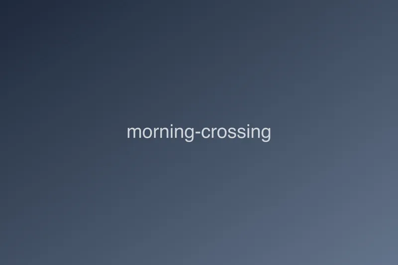 morning crossing