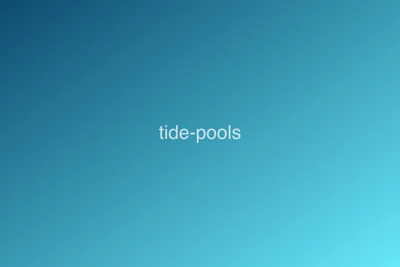 tide pools