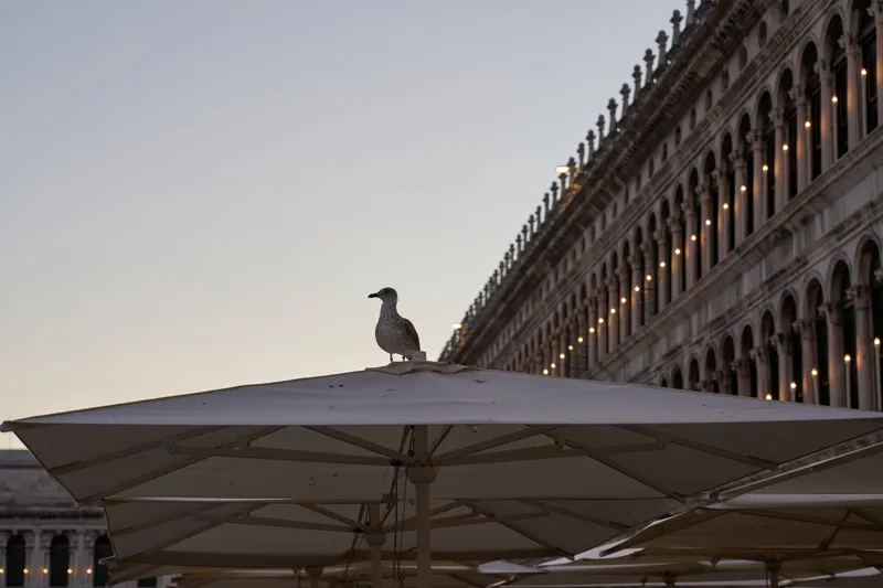 Venice, photo 2